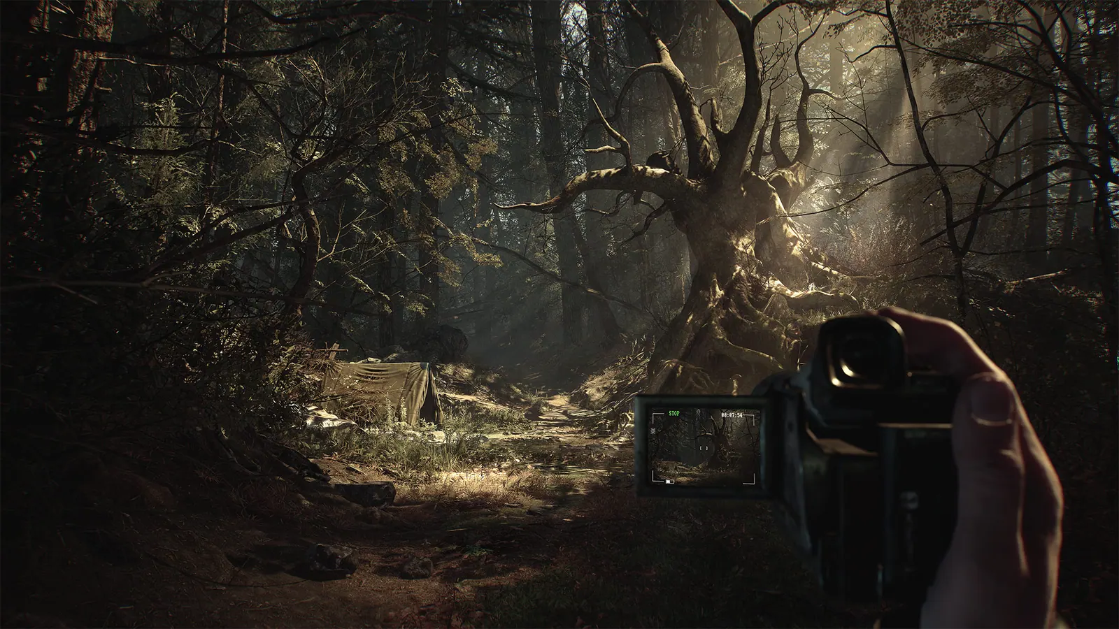 Скриншот 5 игры Blair Witch