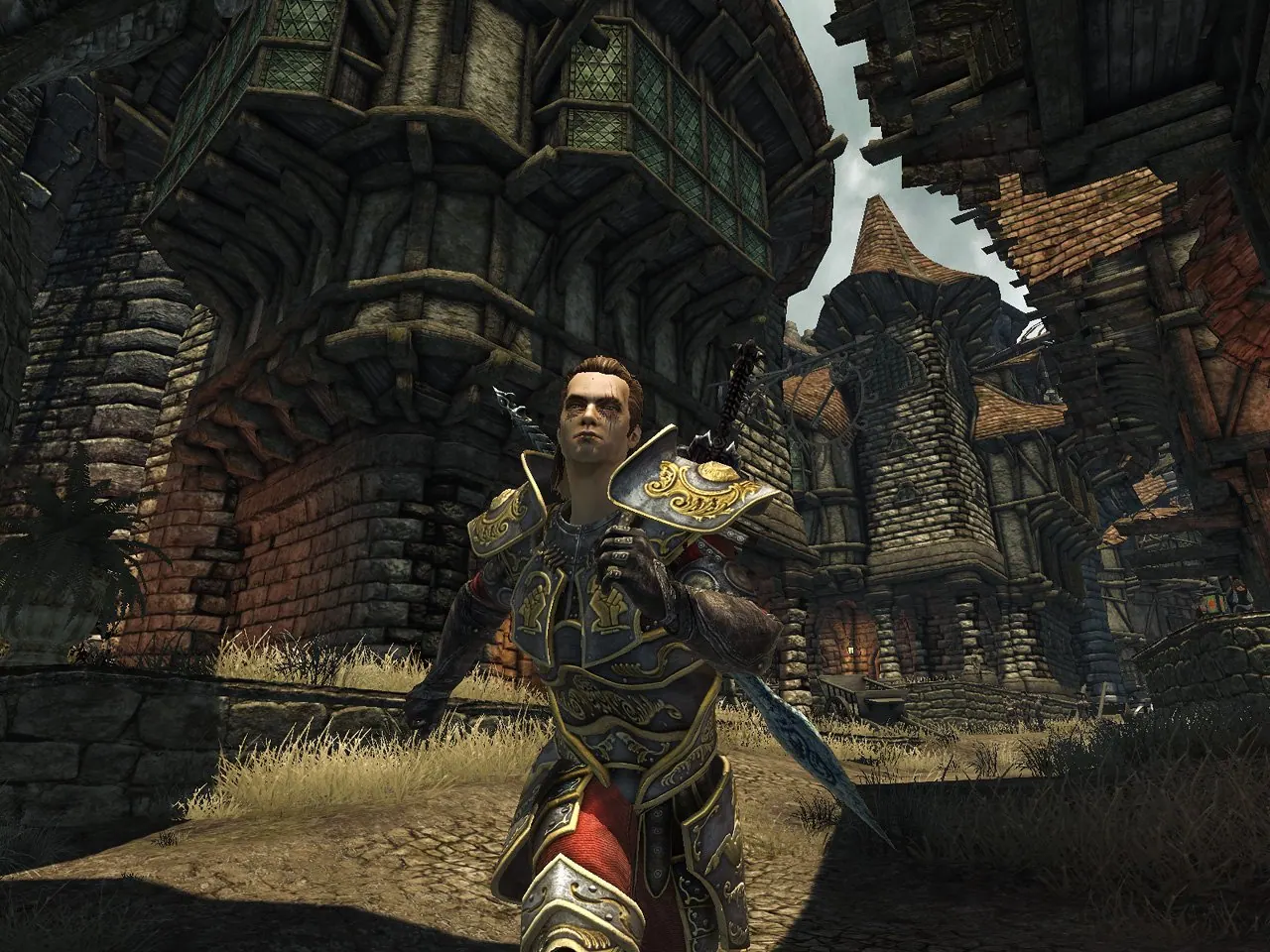 Скриншот 2 игры Divinity 2: Flames of Vengeance