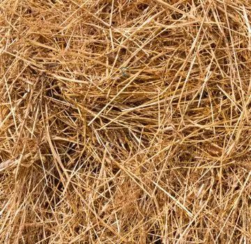 Скриншот 2 игры A-Needle-In-A-Haystack