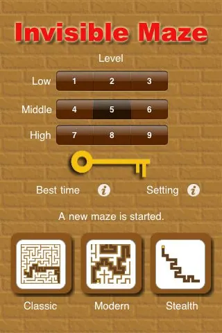 Скриншот 3 игры Invisible Maze