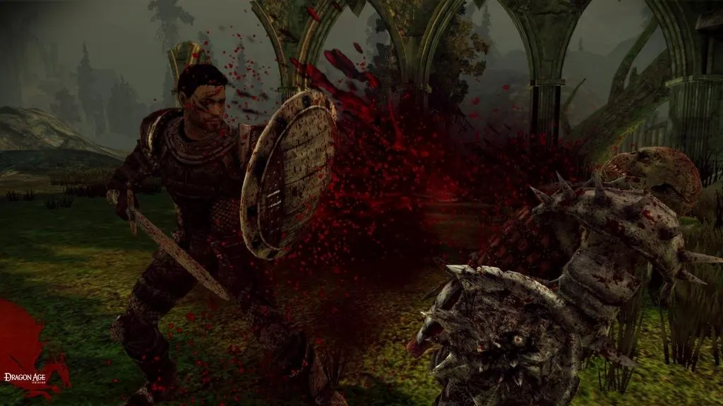 Скриншот 6 игры Dragon Age: Origins