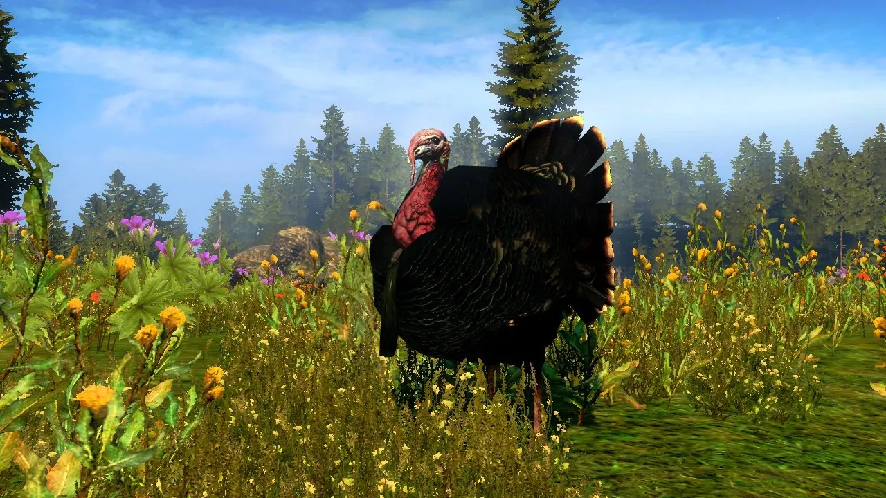 Скриншот 5 игры Cabela's Outdoor Adventures 2010