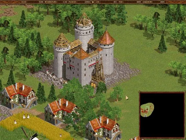 Скриншот 5 игры Cossacks: The Art of War