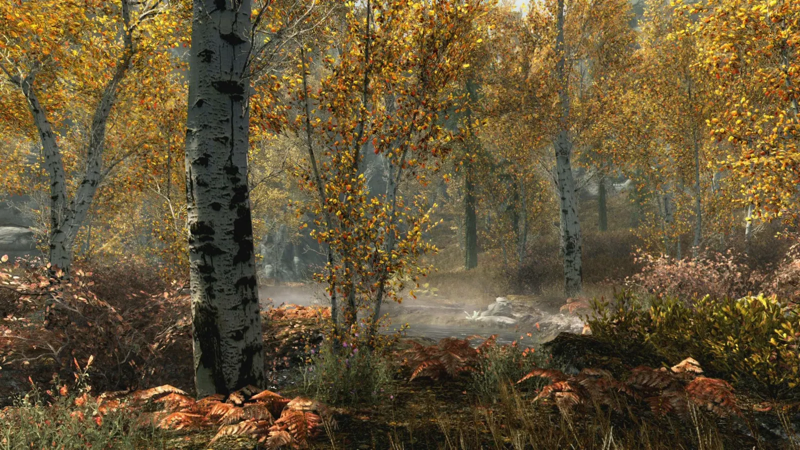 Скриншот 5 игры The Elder Scrolls V: Skyrim Special Edition